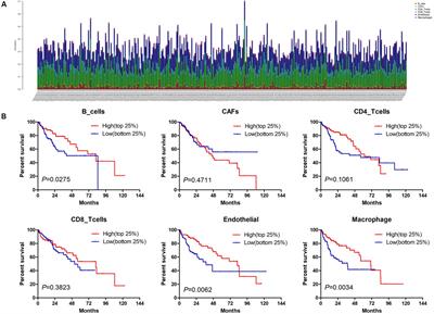 Construction of a circRNA-miRNA-mRNA Network Related to Macrophage Infiltration in Hepatocellular Carcinoma